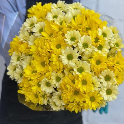 желтая кустовая хризантема - купить с доставкой в по Высокому Колоку